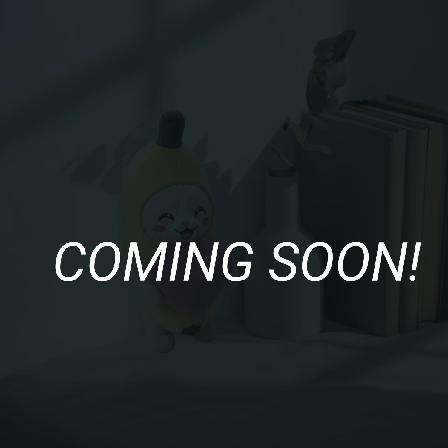 Plush Coming Soon!